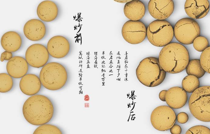 作品:炒爆的豆子